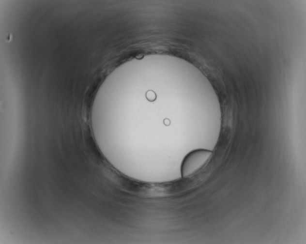 X0000112080518200908041013