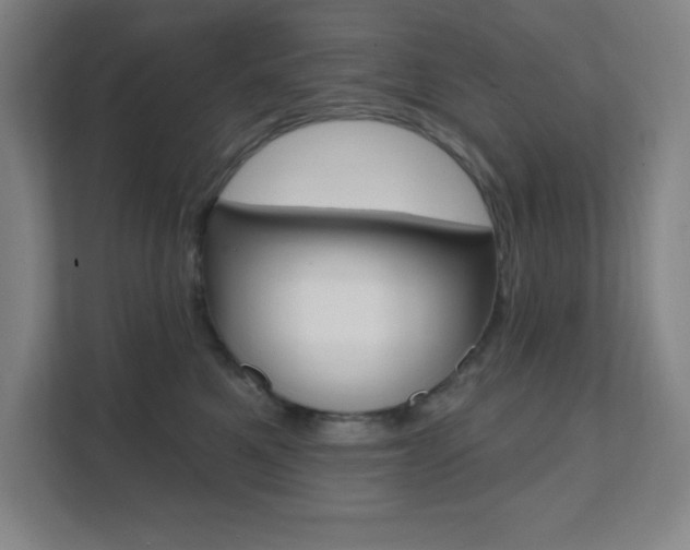 X0000112080521200908041013