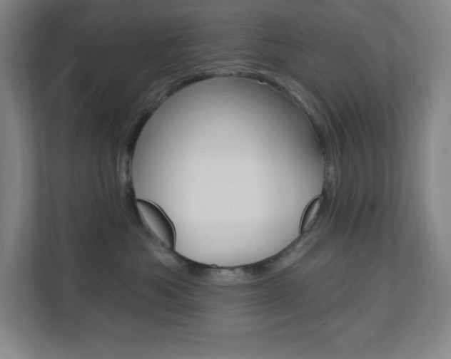 X0000112080525200908041013