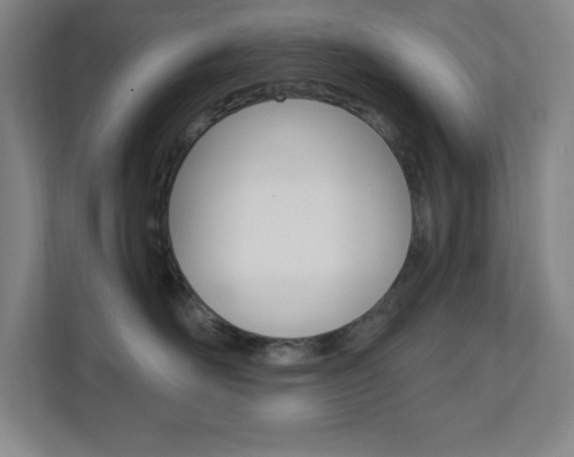 X0000112080526200908041013