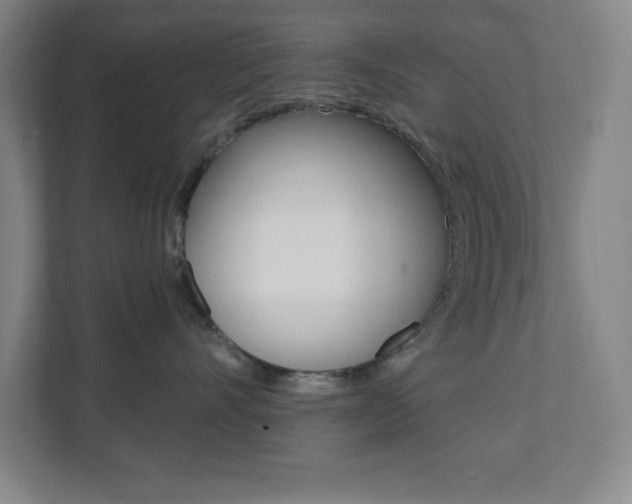 X0000112080528200908041013