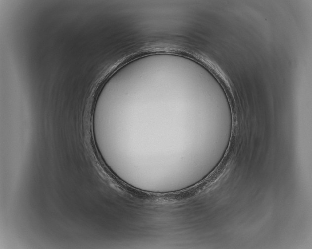 X0000112080529200908041012