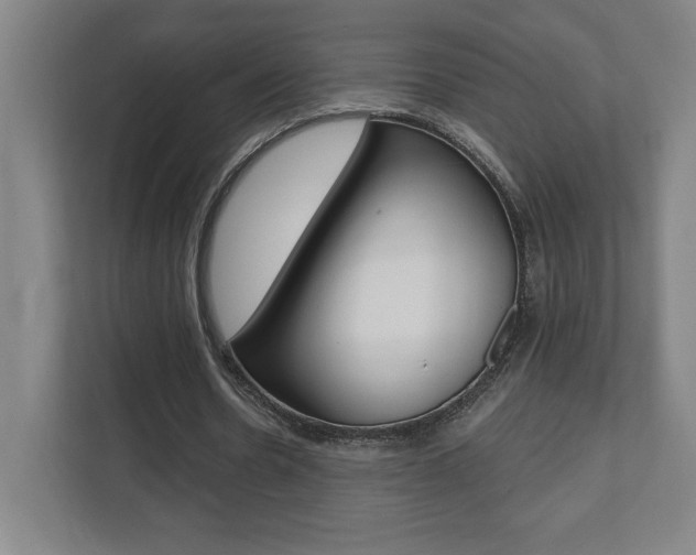 X0000112080530200908041012