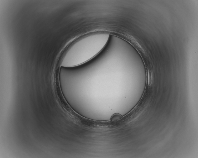 X0000112080531200908041012