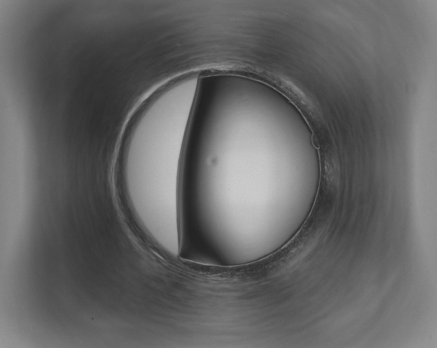X0000112080532200908041012