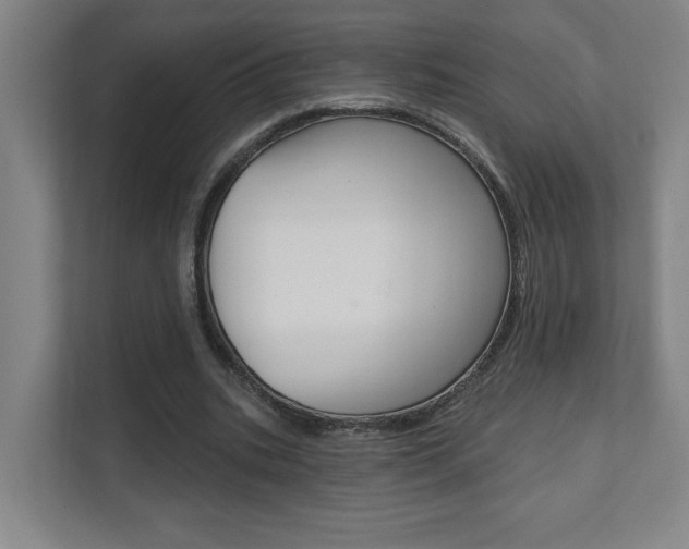 X0000112080535200908041012