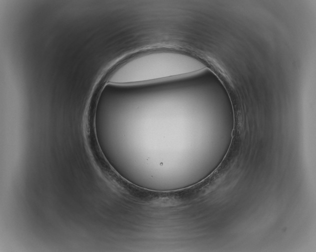 X0000112080536200908041012