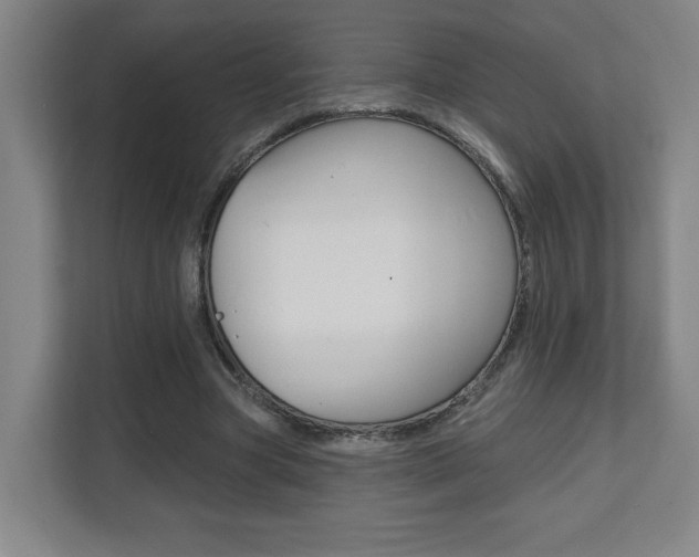 X0000112080537200908041012