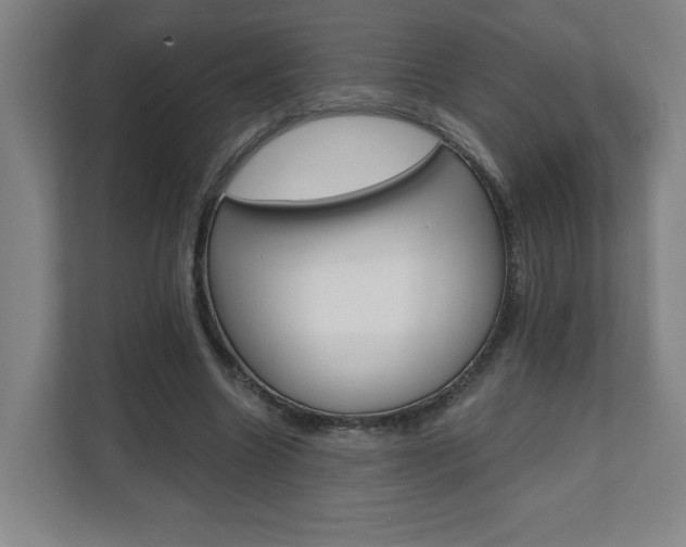 X0000112080538200908041012