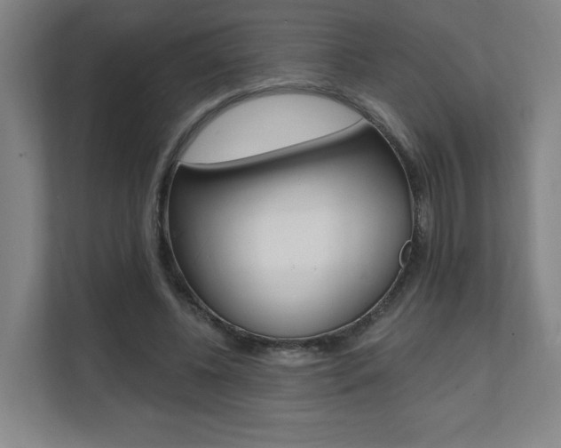 X0000112080540200908041012