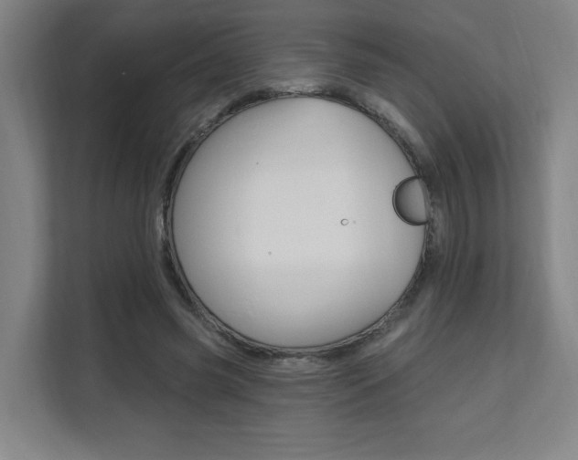 X0000112080541200908041012