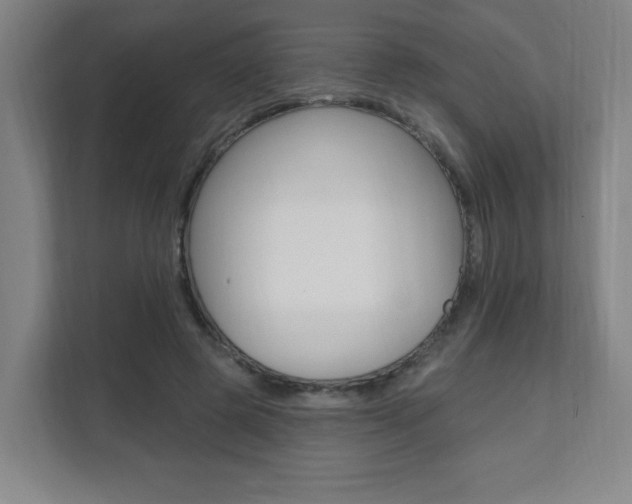 X0000112080545200908041012