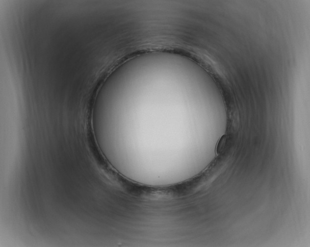 X0000112080546200908041012