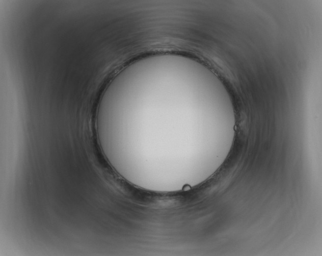 X0000112080547200908041013