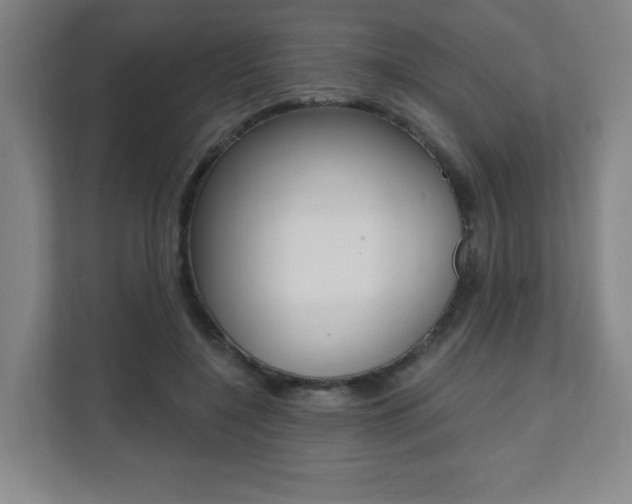 X0000112080548200908041013