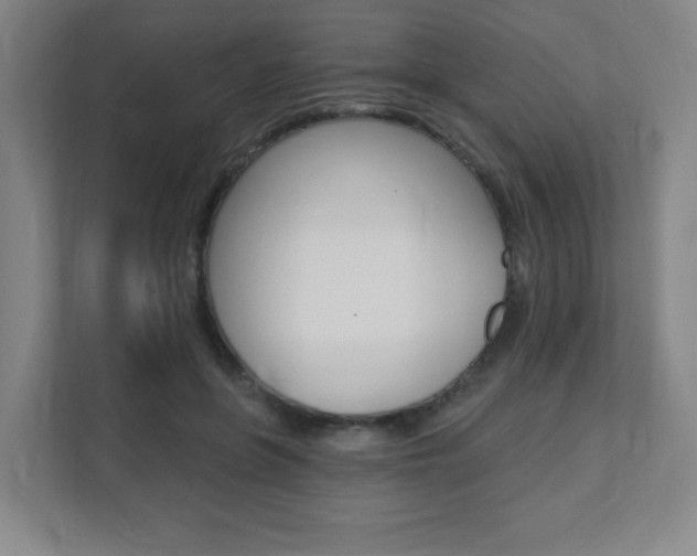 X0000112080551200908041013