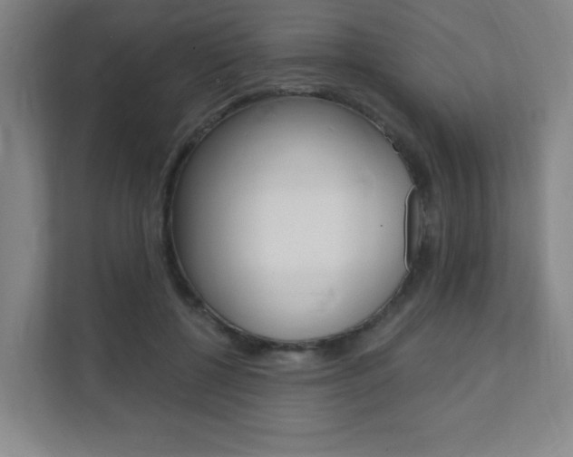 X0000112080552200908041013