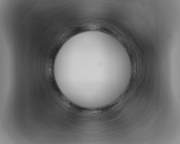 X0000112080553200908041013