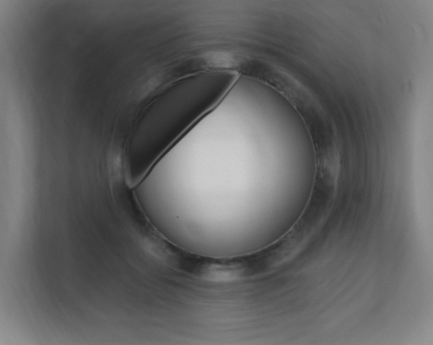 X0000112080556200908041013