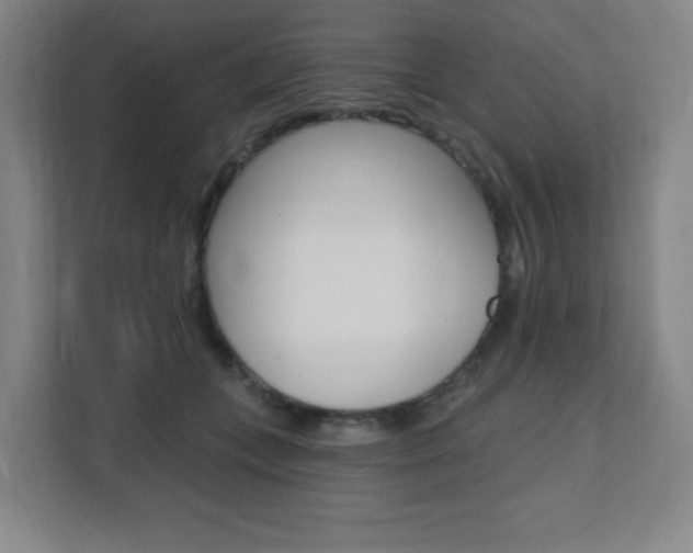 X0000112080559200908041013