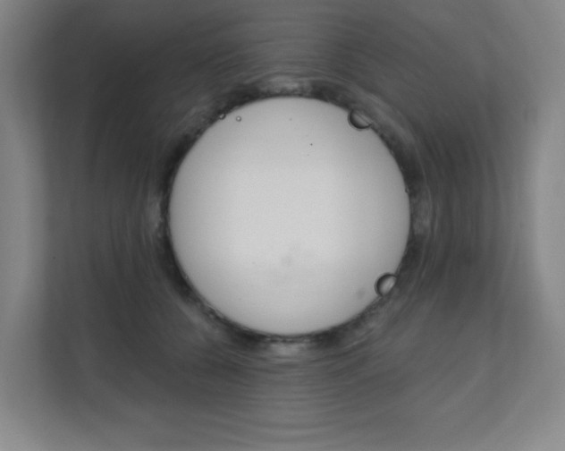 X0000112080560200908041013