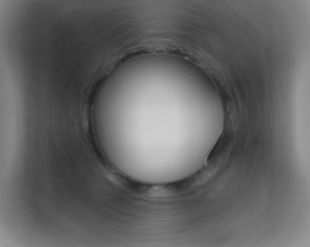 X0000112080562200908041013