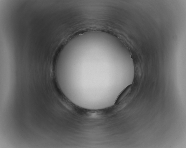 X0000112080564200908041013