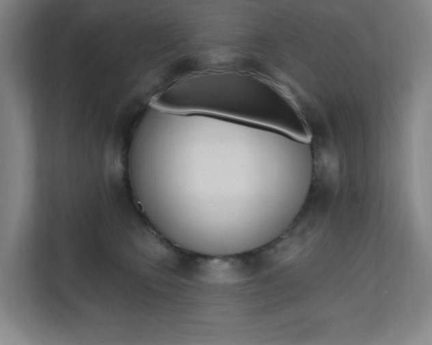 X0000112080566200908041013