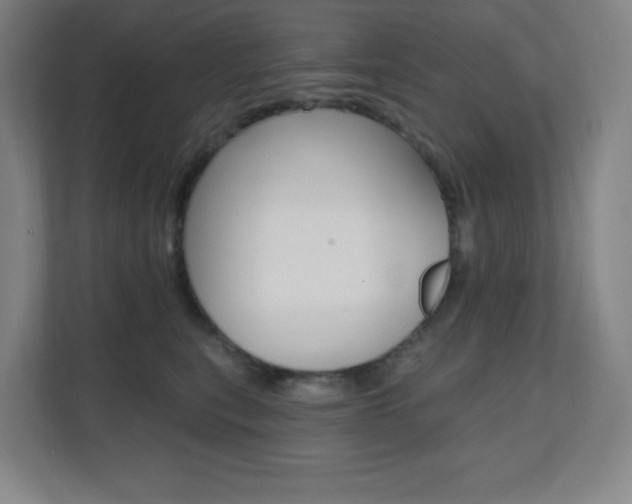 X0000112080567200908041013
