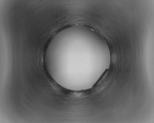 X0000112080570200908041013
