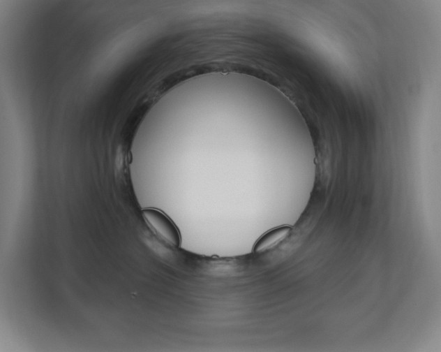 X0000112080574200908041013