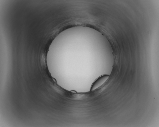 X0000112080575200908041013
