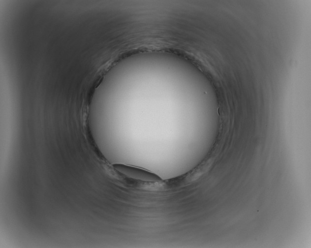X0000112080576200908041013