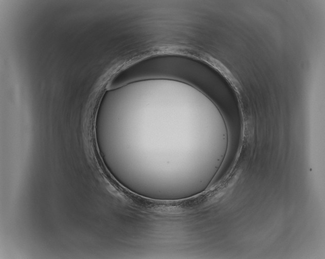 X0000112080577200908041012