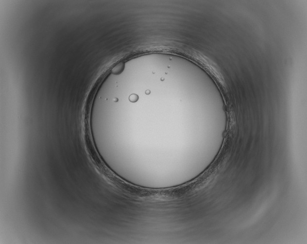 X0000112080578200908041012