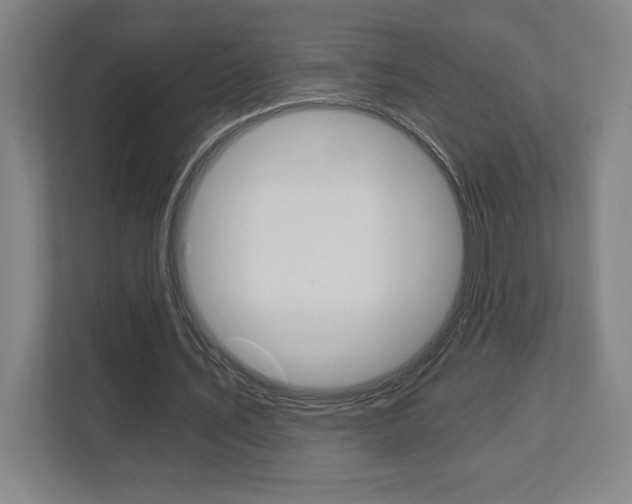 X0000112080579200908041012