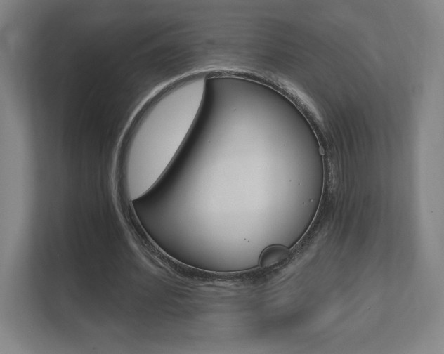 X0000112080580200908041012