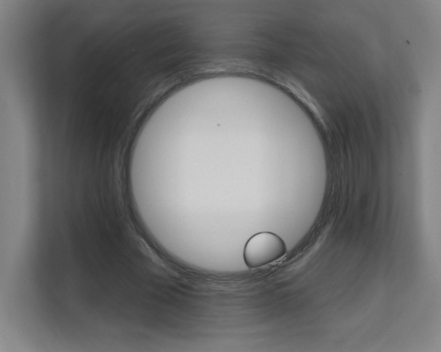 X0000112080585200908041012