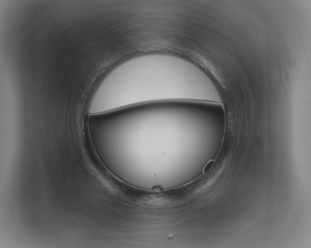 X0000112080589200908041012