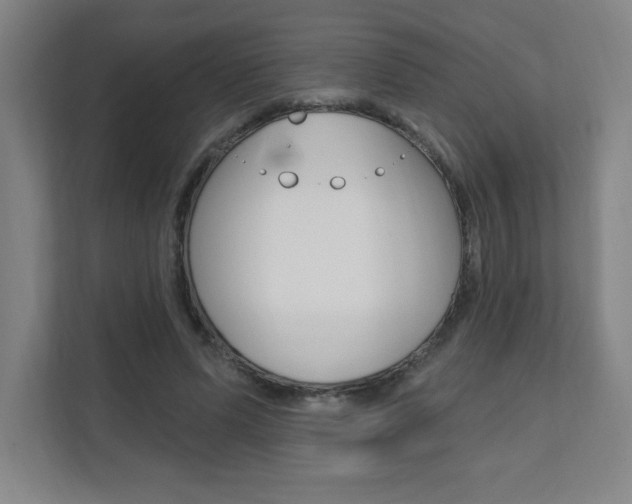 X0000112080591200908041012