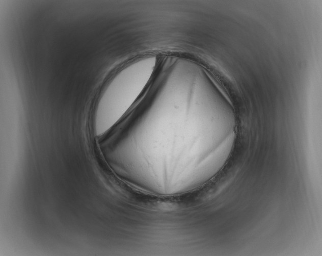 X0000112080592200908041012