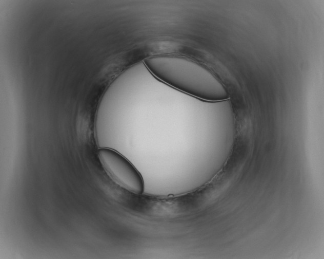 X0000112080599200908041012
