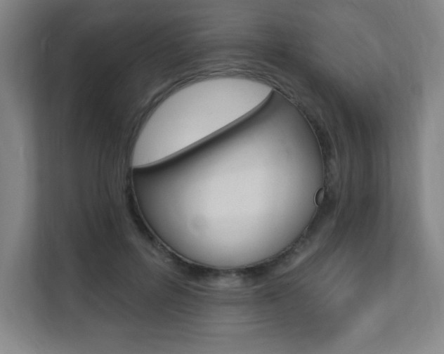 X0000112080600200908041012