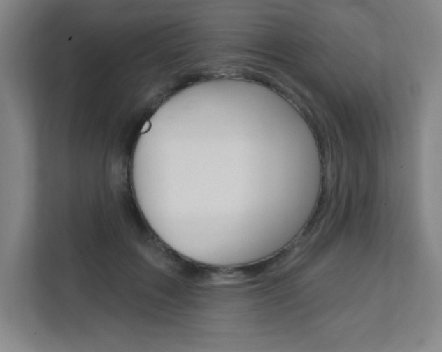 X0000112080603200908041012