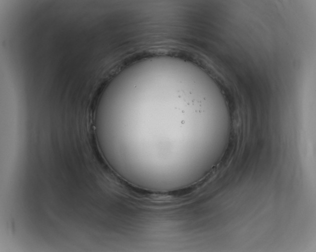 X0000112080605200908041012
