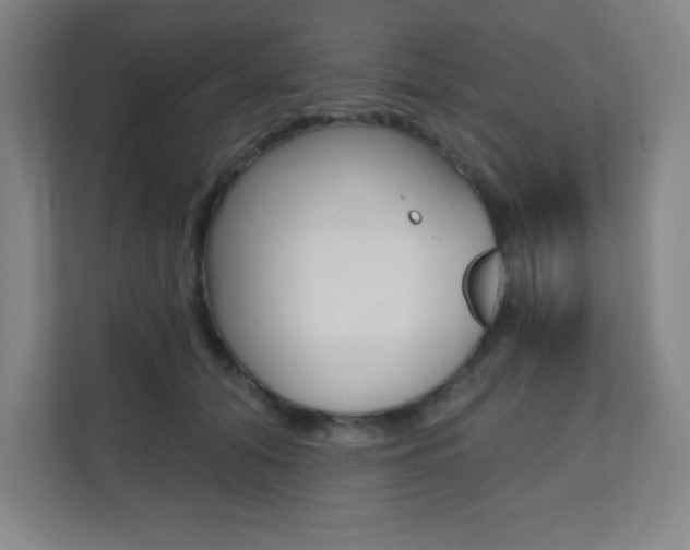 X0000112080608200908041012