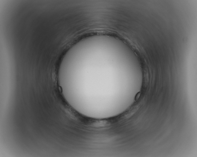 X0000112080609200908041012