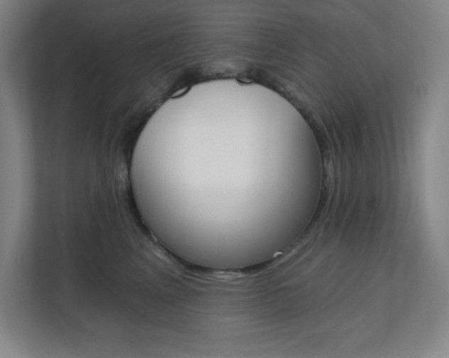 X0000112080617200908041012