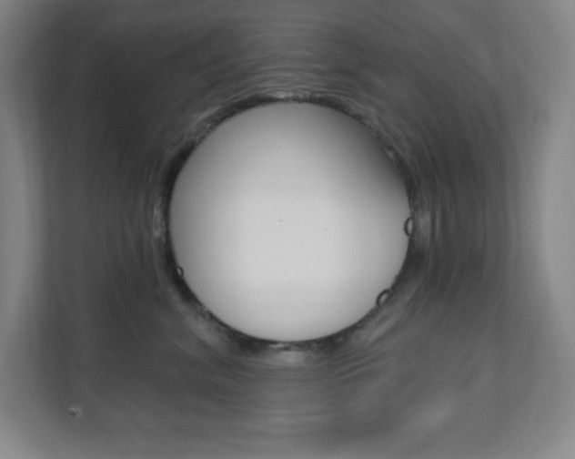X0000112080620200908041012