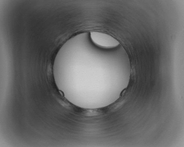 X0000112080623200908041012